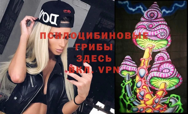 дживик Арсеньев