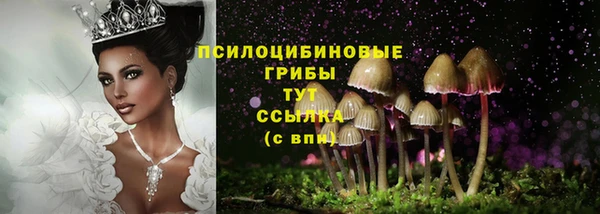 амф Баксан